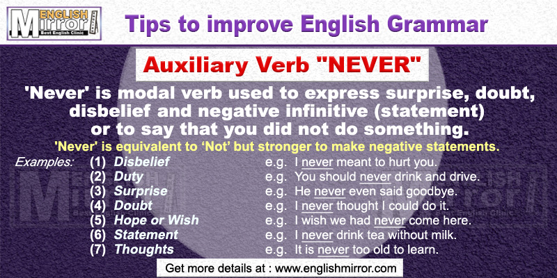 Use of Auxiliary Verb 'Never' in English Grammar
