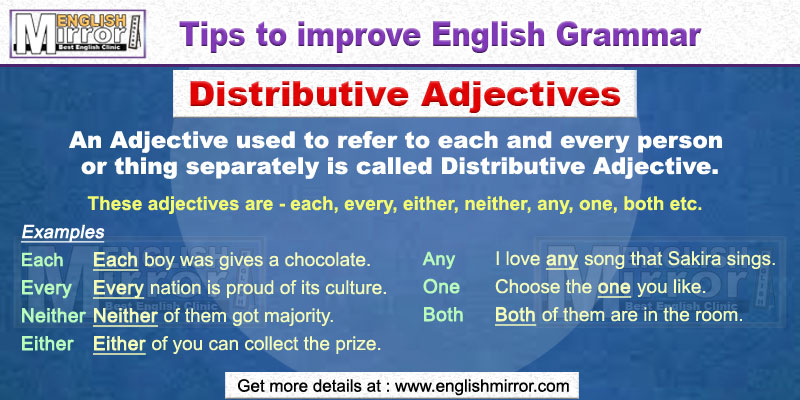 Distributive Adjectives in English Grammar