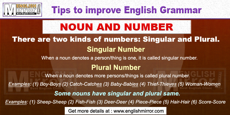 Uses Of Noun And Number Types Of Noun In English Grammar English Mirror