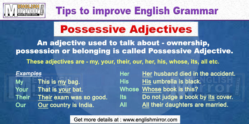 Possessive Adjectives in English Grammar