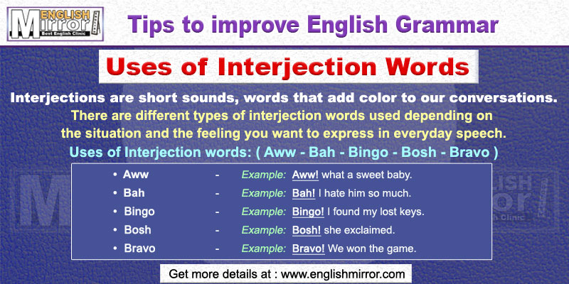 Usage of interjection words Aww, Bah, Bingo, Bosh, Bravo in English